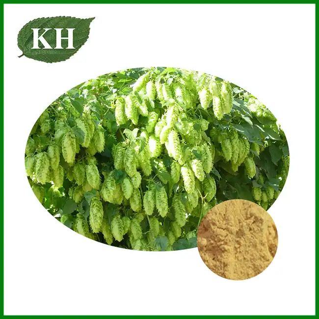 Hops Extract